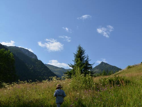 Foto Panorama de La Pacura (c) Lucian Petru Goja